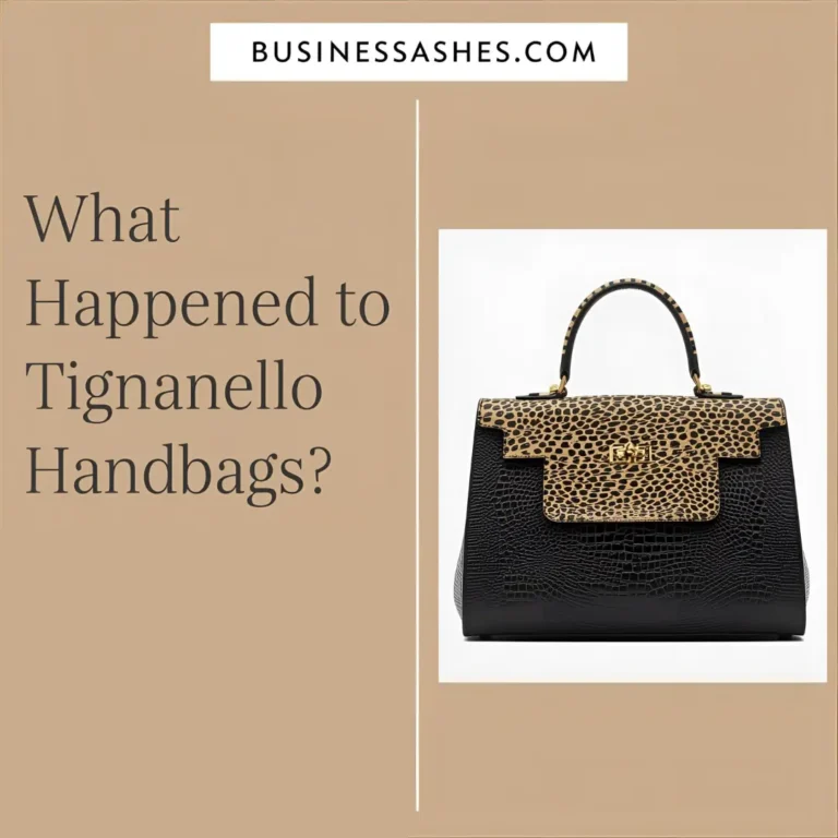 What Happened To Tignanello Handbags